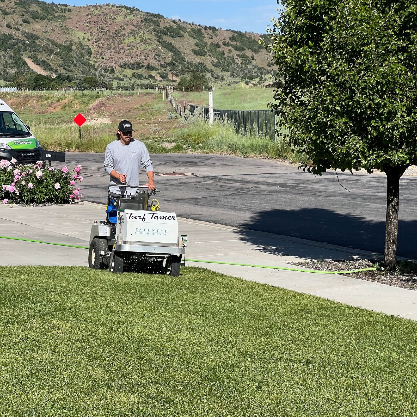 Lawn Doctor technician mowing a lawn with a small green and white Turf Tamer machine near a sidewalk and tree.